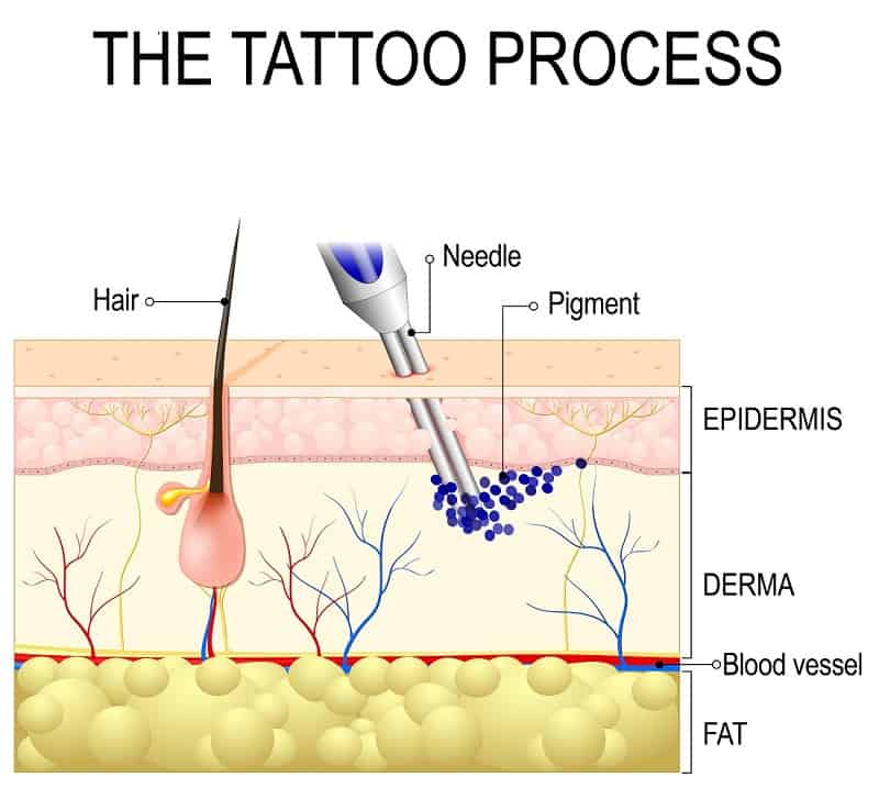 How Deep Does A Tattoo Needle Go? – Stories and Ink